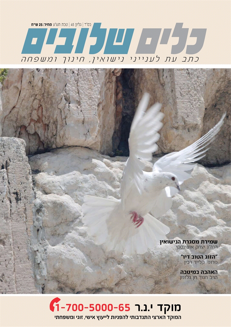 שמירת מסגרת הנישואין
