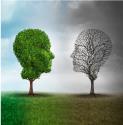 השתלמות ב NLP ילדים ונוער | מרכז ינר