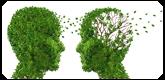 Cognitive Behavioral Therapy